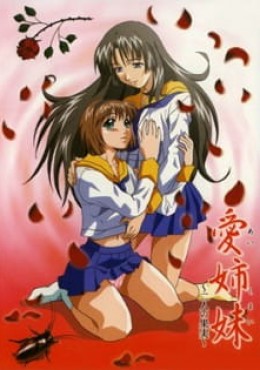 Portada de Ai Shimai: Futari no Kajitsu