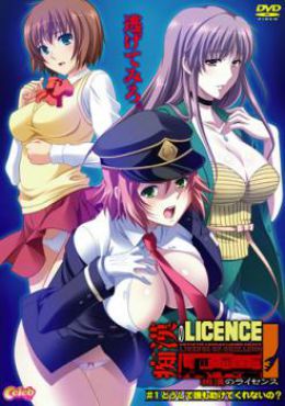 Portada de Chikan no Licence